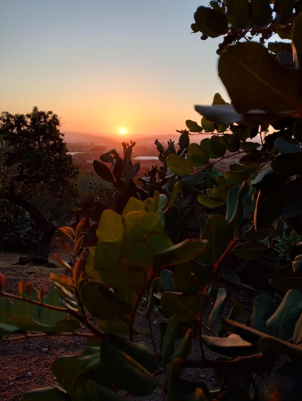 Ronnavona Casa Vacanze B&B Chiaramonte Gulfi Luaran gambar