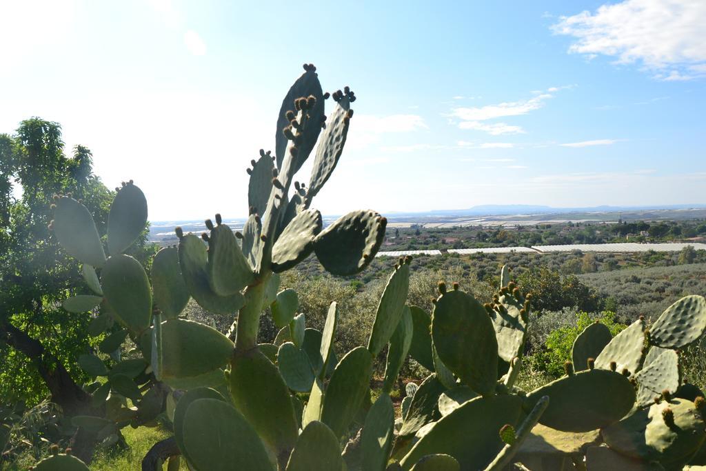 Ronnavona Casa Vacanze B&B Chiaramonte Gulfi Luaran gambar